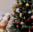 322317d2d2bbed86ae31833f2c15979137129761.jpeg - Primorye24.Ru
