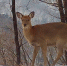 789f49dc46a0549c66b0e36e8375f73b7b49ce83.jpeg - Primorye24.Ru
