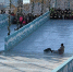 0dc7e3f57ccfb6011edbcc44b1ff3c510f13c632.jpeg - Primorye24.Ru