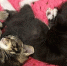 22aa2b79af63f860b132003c092fe098178e0695.jpeg - Primorye24.Ru
