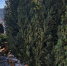 67a91fac3cc91df2761ff975fe26862c0806a5b9.jpeg - Primorye24.Ru