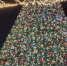 b21fe6bb0220e48aa618e95220388833910177e2.jpeg - Primorye24.Ru