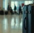 5c902dcd91886826fa6880ec06d271b7856abc14.jpeg - Primorye24.Ru