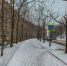 b8756a90812e3620d63c946d657f483cd3030920.jpeg - Primorye24.Ru