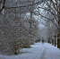 5af12c9079388664988a0f07eef9c878182cc8c3.jpeg - Primorye24.Ru