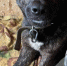 b67a8955caefe7734f3f4788b0d565a3eac0c314.jpeg - Primorye24.Ru