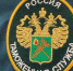 Морские огурцы грузите посылками: своеобразный способ контрабанды пресекла таможня - VostokMedia.Com