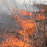 e1d2c800e1dcab21ce837e4dad191deb1844168d.jpeg - Primorye24.Ru