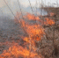 611767085326aa805aa4193ec88329821dc16b41.jpeg - Primorye24.Ru