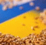 В ЕС потребовали вернуть квоты на импорт украинской агропродукции - Газета Далекая окраина
