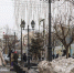 1c421e70dd79050df4e6e4dcb5c070659028e1c6.jpeg - Primorye24.Ru