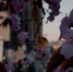 3ec1f952a5f742039337b206ecf48cbb742c61d6.jpeg - Primorye24.Ru