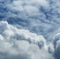 67c7b8f4d37570492d152f83cc5387518ae201b1.jpeg - Primorye24.Ru