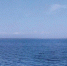 Национальное управление океанических и атмосферных исследований США (NOAA) в том числе обеспечивает надзор в области рыболовства - Fishnews.Ru