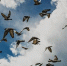 b9e59a1fe30ec5bbd3e4407f193a7046c1d4923e.jpeg - Primorye24.Ru