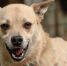 60dd64b617f6d6ba1514349d1676e443eff8dd0c.jpeg - Primorye24.Ru