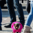 Сегодня во Владивостоке до +2 °C - NewsVl.Ru
