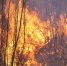 fa39ae0155ece33f5889c221a12801ecfd8168c4.jpeg - Primorye24.Ru