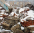 6c61bd990d297ebae519a61a1f2e64c7cb156c1f.jpeg - Primorye24.Ru