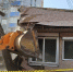 0073a7963b9a002d552178482f7cfed724c08bcd.jpeg - Primorye24.Ru