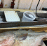 Треска из научного улова. Фото пресс-службы ВНИРО - Fishnews.Ru