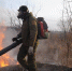 05e7c59264f0074c1ea05e1c3f2c8aef99c131c7.jpeg - Primorye24.Ru