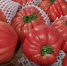 92c7c46bd180cee8b5c0511e6c03cb99f66e77cb.jpeg - Primorye24.Ru
