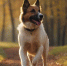 db7d3a424b9e6f424d073cbb93a8a1380698b10a.jpeg - Primorye24.Ru