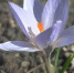 a65a88786582ed4e6651e24948cd528f9b31672f.jpeg - Primorye24.Ru