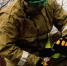 46bc468b4f055f4e2ec4c56972bf5e691131b7f7.jpeg - Primorye24.Ru