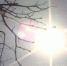 Во Владивостоке переменная облачность, +9°C - Газета Далекая окраина