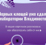 Акарицидную обработку зеленых территорий проведут во Владивостоке в апреле и мае - Администрация г. Владивостока