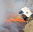 fef9b4d5656fbff1541d94d0b6bc6a66bbe94253.jpeg - Primorye24.Ru