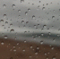 301a6cf63f43899040efdf1bbd7b52bbdfabd70e.jpeg - Primorye24.Ru