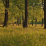 584cec93f3a5df5afcbb97636c76c160c0a829b9.png - Primorye24.Ru