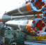 Росгвардия обеспечивает безопасность российских космодромов - Росгвардия