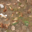 5f174051caf5b25429b7b8de9962b7c753146703.jpeg - Primorye24.Ru