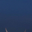 111c834473f4d77f65b4e8ca0516505f19be2abc.jpeg - Primorye24.Ru