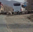 bdf95e5e6ad43b2d52d83ccd2af5406c8059b055.jpeg - Primorye24.Ru