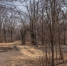 a8f3e4612e0910d6c598c63c49029a0efb183f15.jpeg - Primorye24.Ru