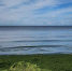 8500b5619f8056736c32868de93c905bca637411.jpeg - Primorye24.Ru