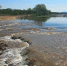 699c293fc523ac6a0ace9e1532e6da7bf55c4c28.jpeg - Primorye24.Ru