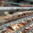 Госдума приняла новый закон в сфере взаимоотношений поставщиков продуктов и торговых сетей - Fishnews.Ru
