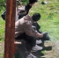 adffd428a4df8d2a7e702d22bdceb7c75b494bc8.jpeg - Primorye24.Ru