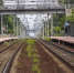151d13d1a9f4dcaa769e8dd3505a5bb03f17a468.jpeg - Primorye24.Ru