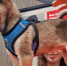 842b6e7f6d20fe6d5bc73181dbc6503bb0f58599.jpeg - Primorye24.Ru