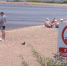 В Приморье вода прогрелась до комфортных для купания значений - ГТРК Владивосток