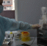 0632b411c02fc7bd8c3d467d27298337e05314de.jpeg - Primorye24.Ru