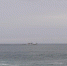 На Конференции ООН обсуждают Договор об открытом море - Fishnews.Ru