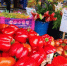 ec43be1561be4c8cef71c183ff1493bd6a2f6e43.jpeg - Primorye24.Ru
